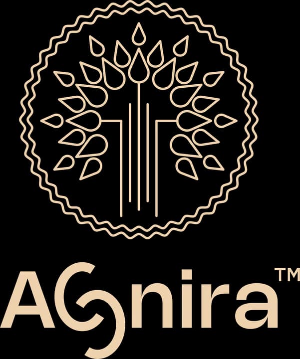 Agnira finished logo used as the anchor of the mood board