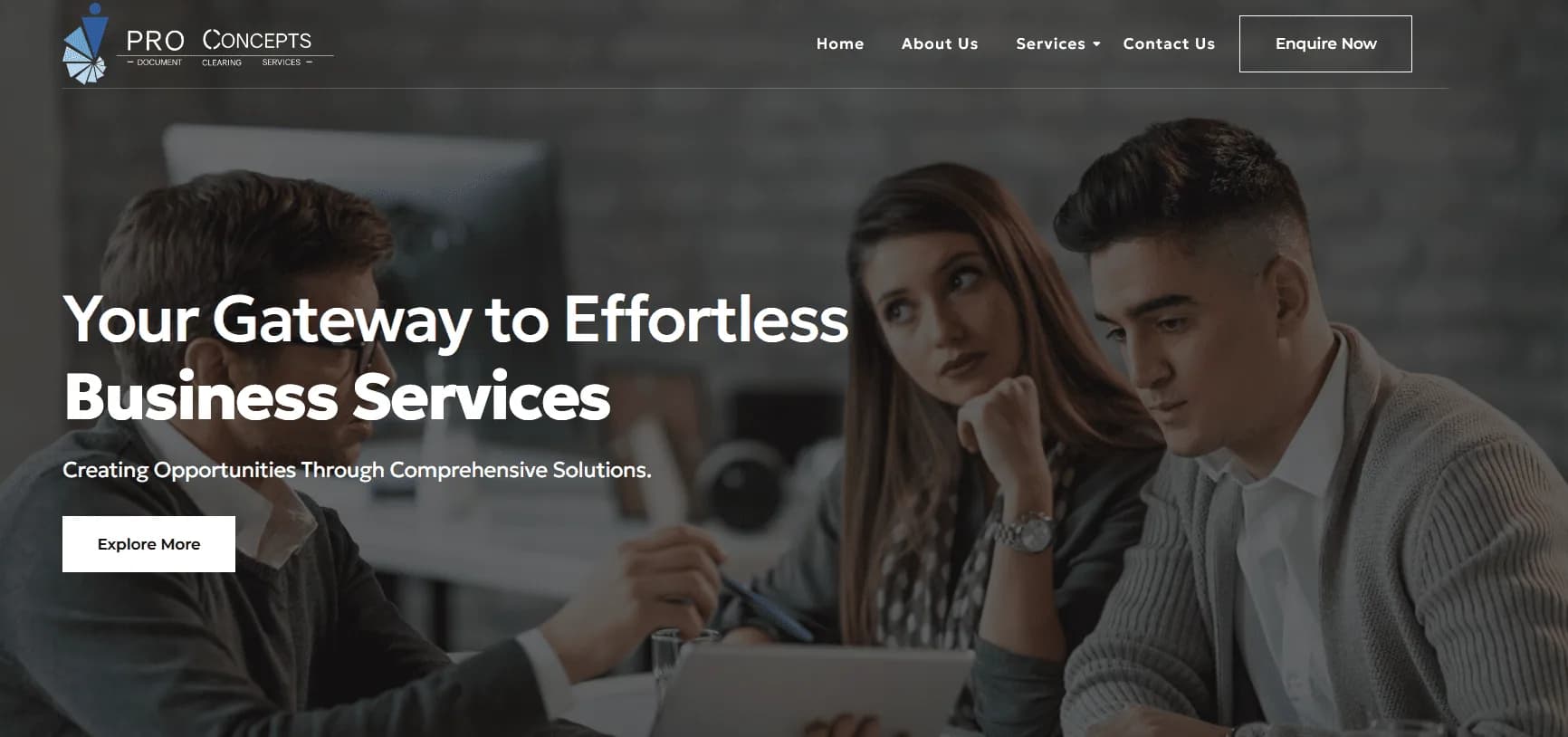 PRO Concepts website design & development project cover
