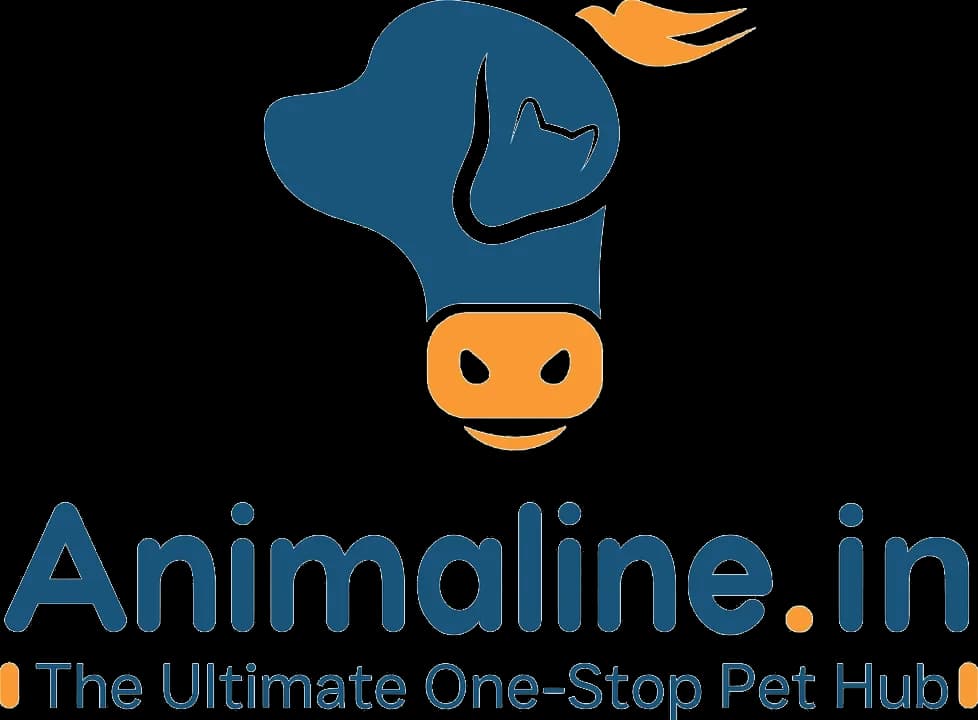 Animaline.in finished logo used as the anchor of the mood book