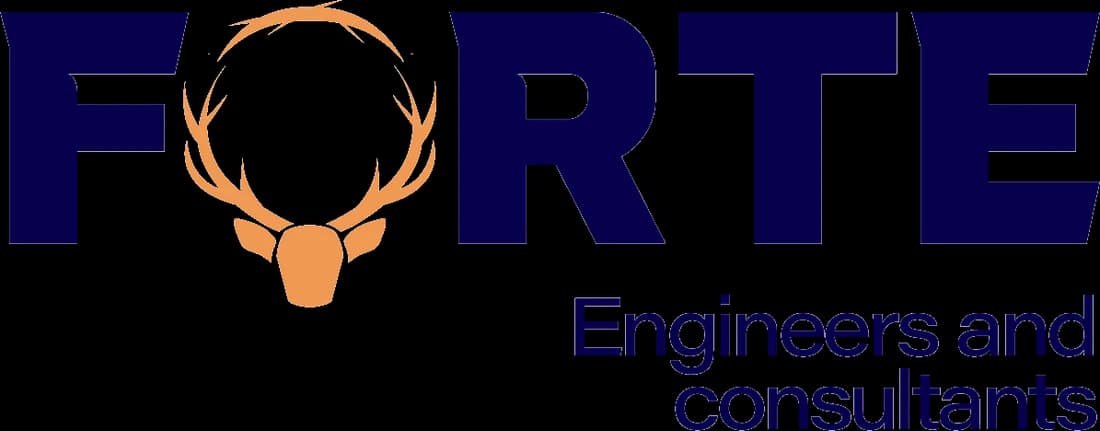 Forte Engineers & Consultants finished logo used as the anchor of the mood book