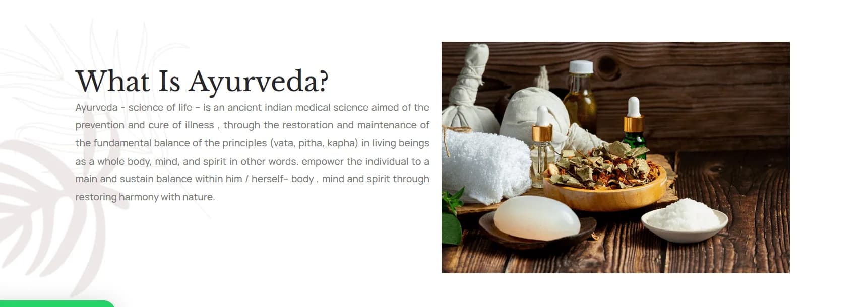 Bella Spa responsive website design screen 1