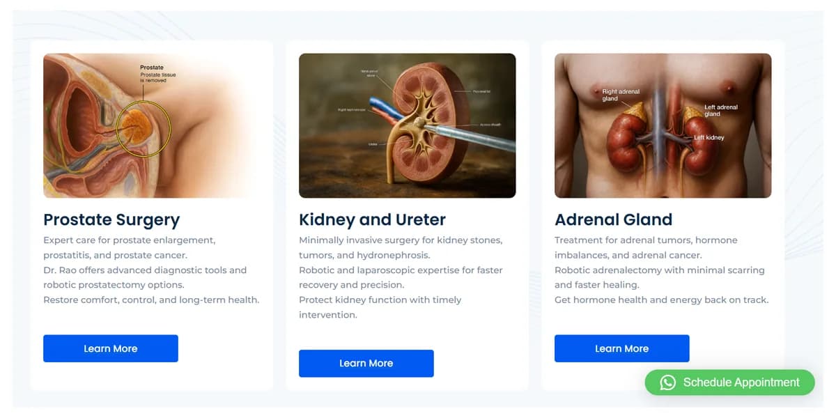Dr. Amrith Raj Rao website homepage design shown in a desktop browser