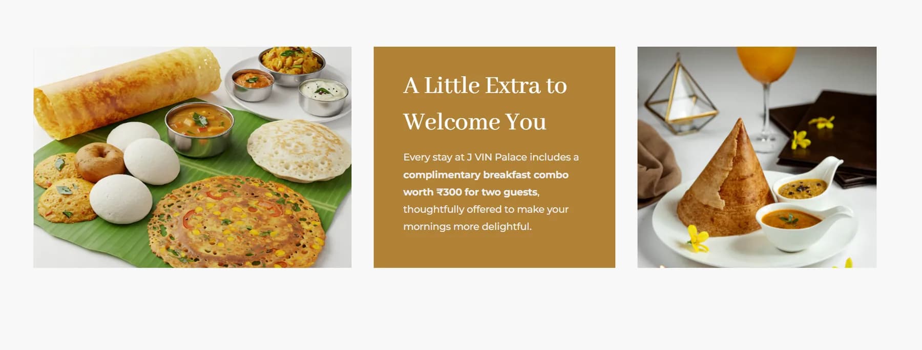 J Vin Palace responsive website design screen 2