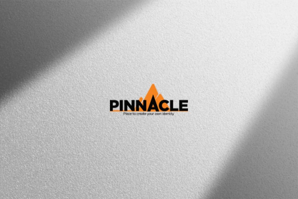 Pinnacle Organization website design & development project cover