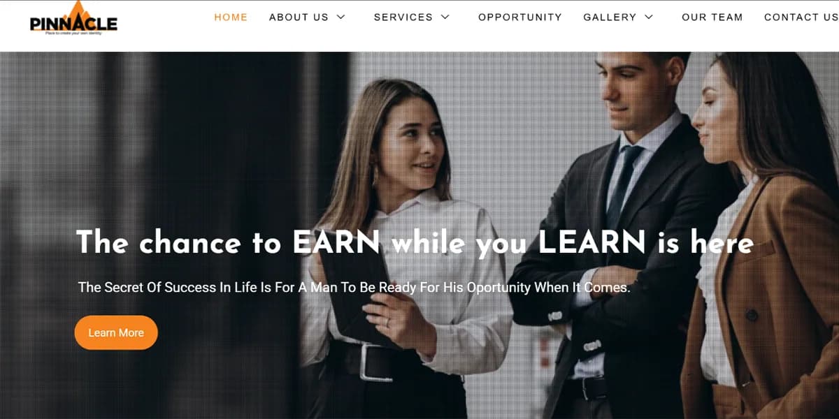 Pinnacle Organization website homepage design shown in a desktop browser