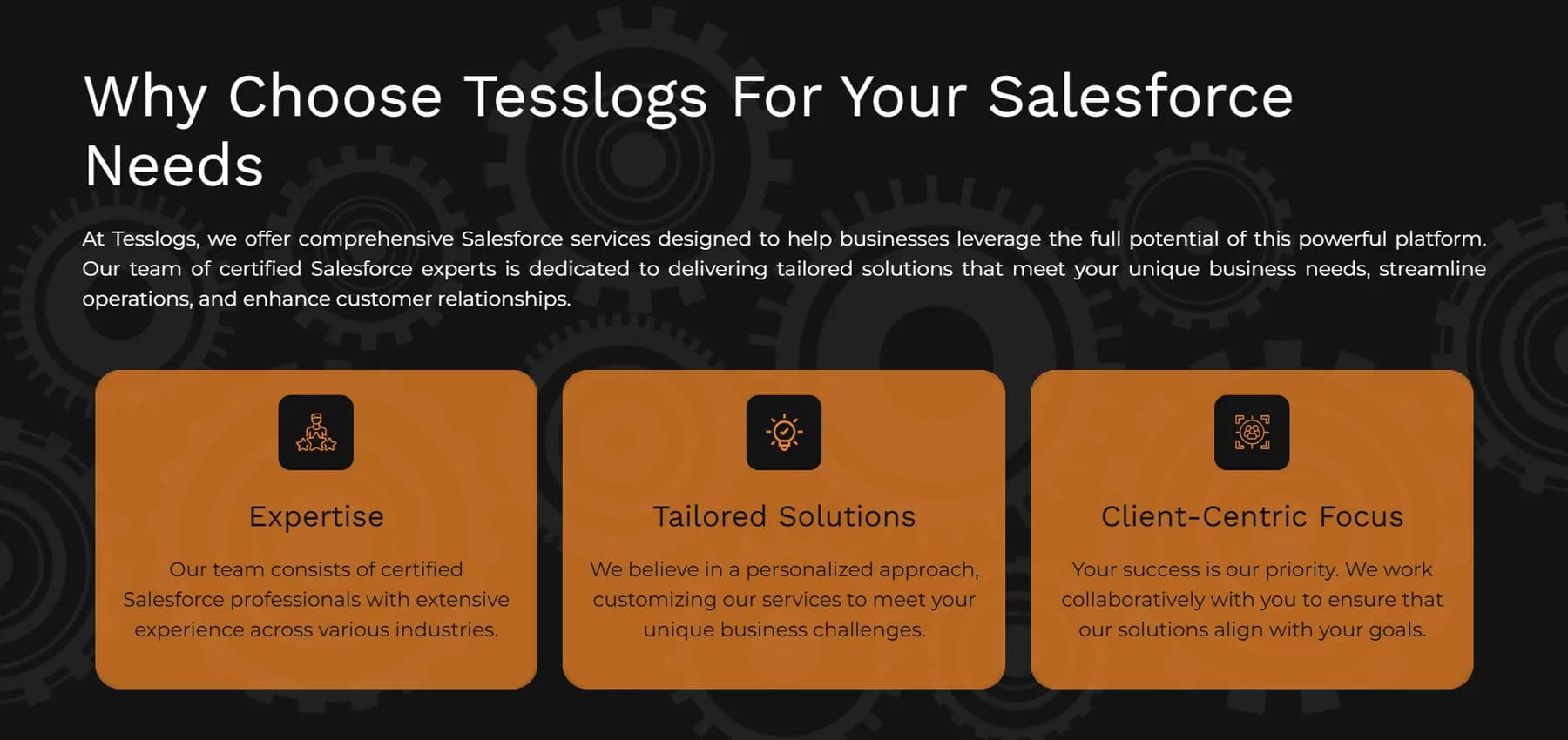 Tesslogs IT Solutions website homepage design shown in a desktop browser