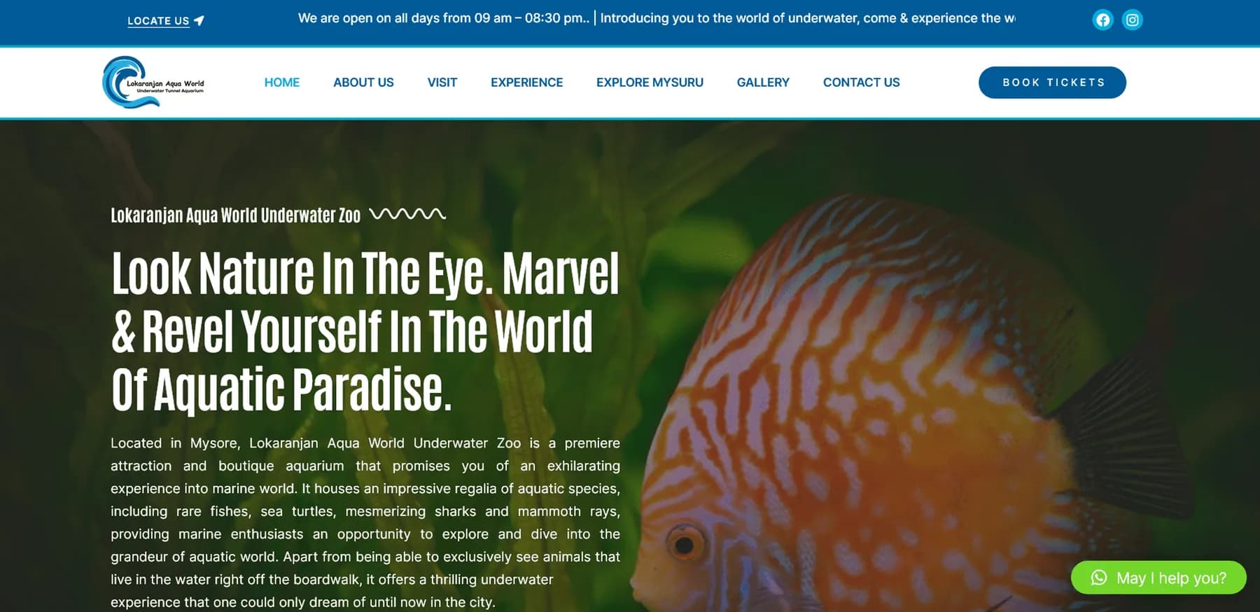 Underwater Zone website homepage design shown in a desktop browser