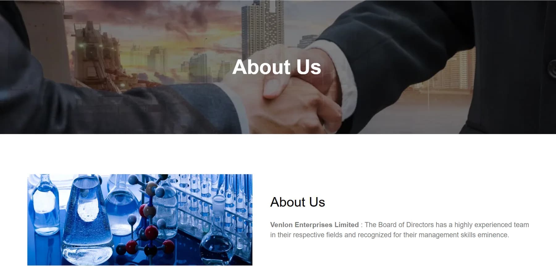 Venlon Enterprises Limited responsive website design screen 2