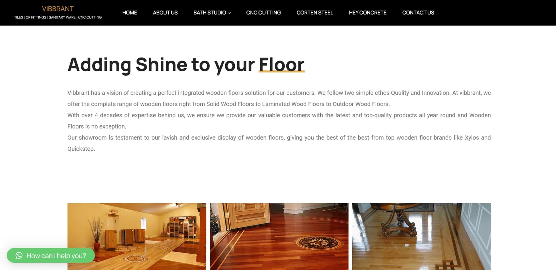 Vibbrant responsive website design screen 2