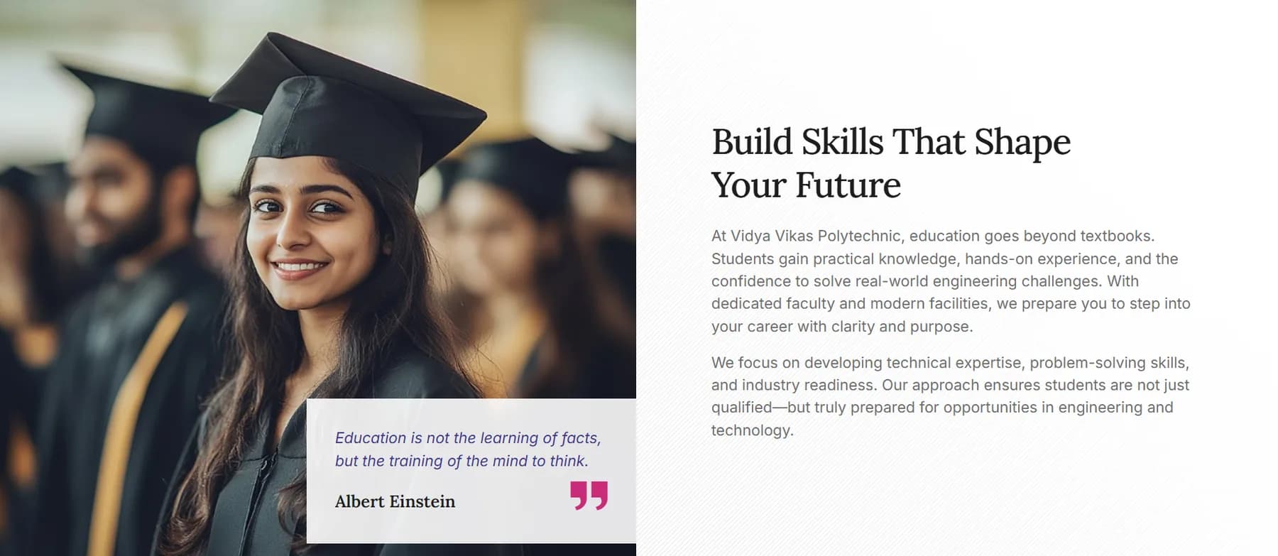 Vidya Vikas Polytechnic website homepage design shown in a desktop browser