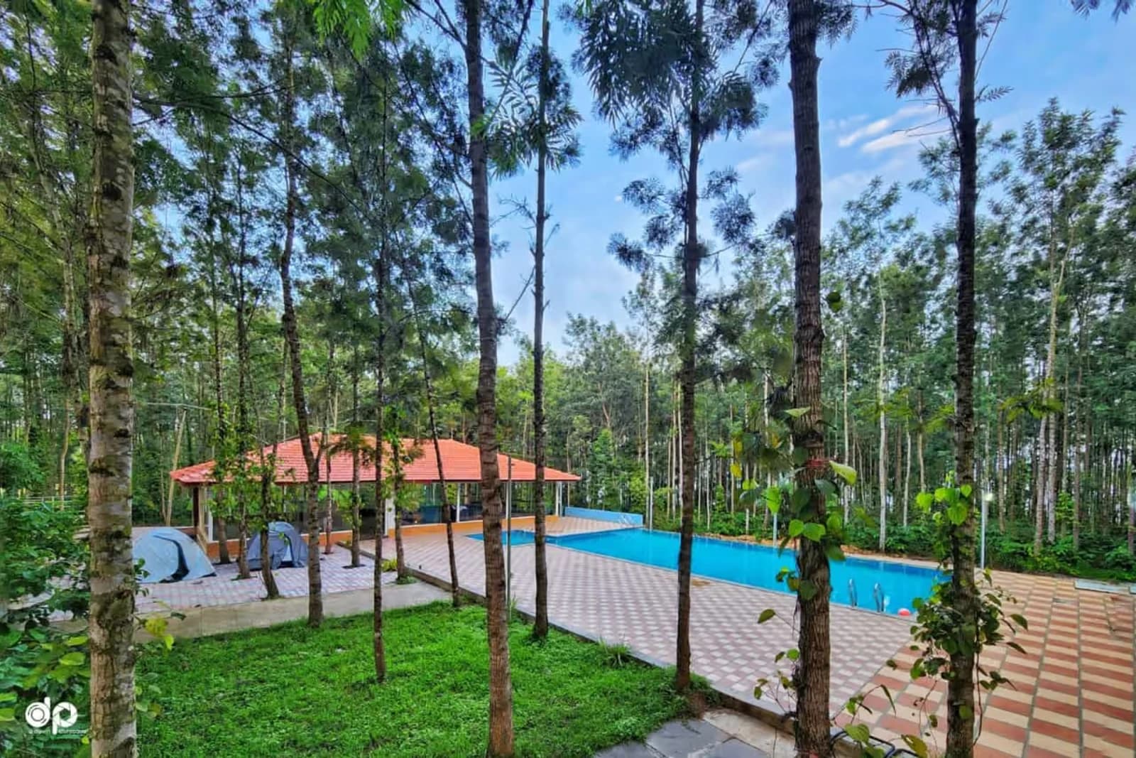 Swimming pool surrounded by trees at Waterview Holiday Retreat