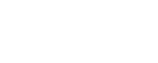 silver_nesst_w